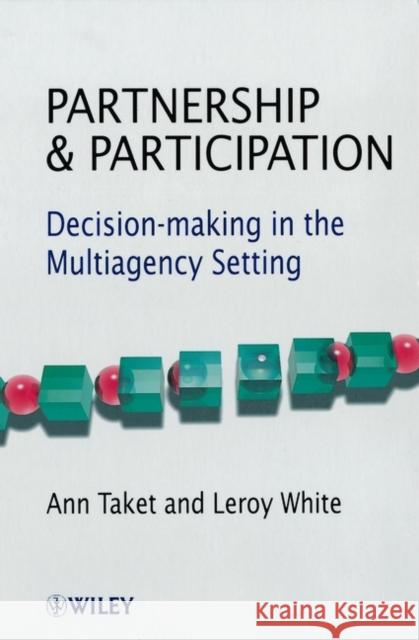 Partnership and Participation: Decision-Making in the Multiagency Setting Taket, Ann 9780471720317 John Wiley & Sons