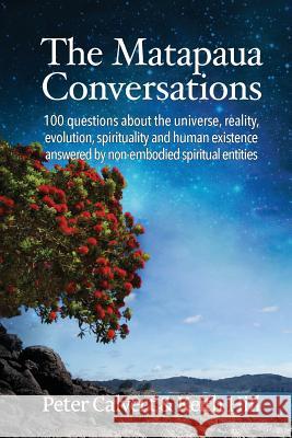 The Matapaua Conversations: 100 questions about the universe, reality, evolution, spirituality and human existence answered by non-embodied spirit Calvert, Peter 9780473242077
