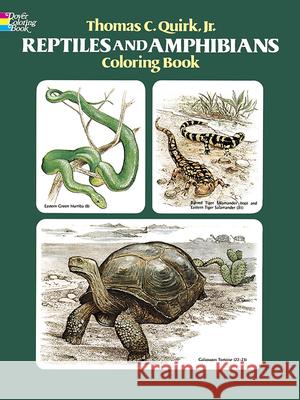 Reptiles and Amphibians Coloring Book Thomas C., Jr. Quirk Samuel Gundy 9780486241111 Dover Publications