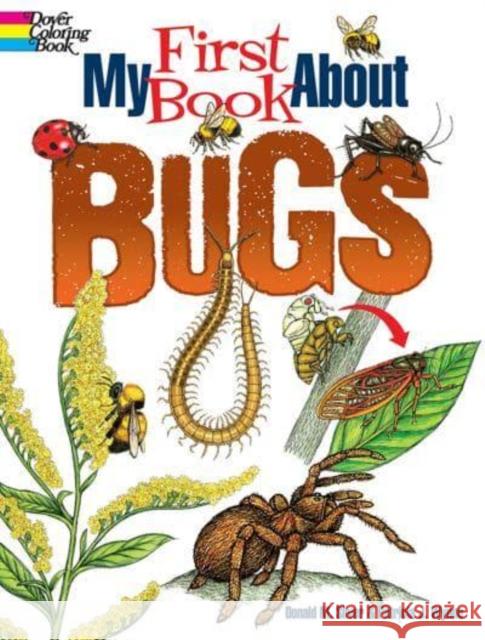 My First Book about Bugs Wynne, Patricia J. 9780486850283