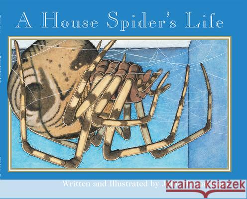 A House Spider's Life (Nature Upclose) Himmelman, John 9780516265360 Children's Press (CT)