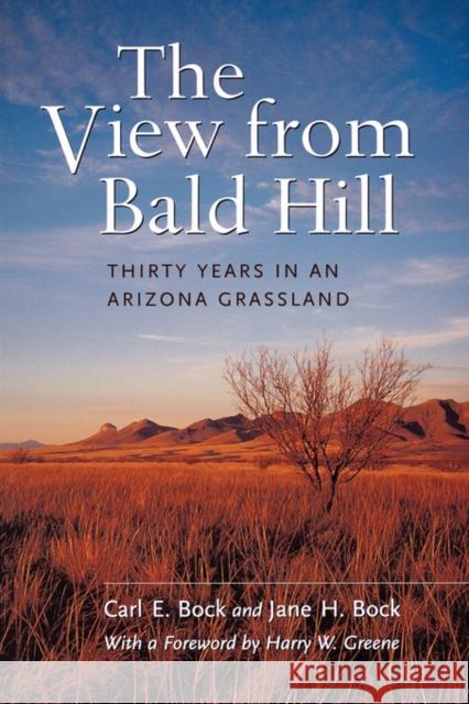 The View from Bald Hill: Thirty Years in an Arizona Grasslandvolume 1 Bock, Carl E. 9780520221840 University of California Press