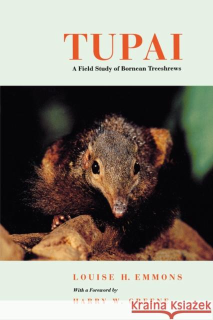 Tupai: A Field Study of Bornean Treeshrewsvolume 2 Emmons, Louise H. 9780520223844 University of California Press