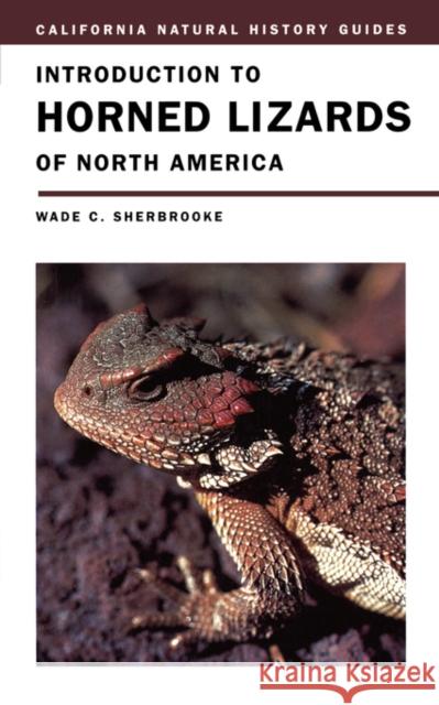 Introduction to Horned Lizards of North America: Volume 64 Sherbrooke, Wade C. 9780520228276 University of California Press