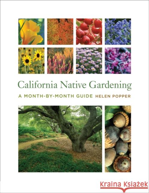 California Native Gardening: A Month-By-Month Guide Popper, Helen 9780520265356