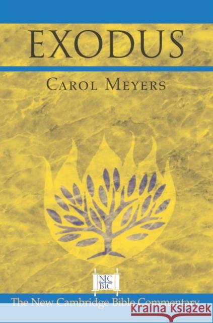 Exodus Carol L. Meyers Ben Witheringto Bill T. Arnold 9780521002912 Cambridge University Press