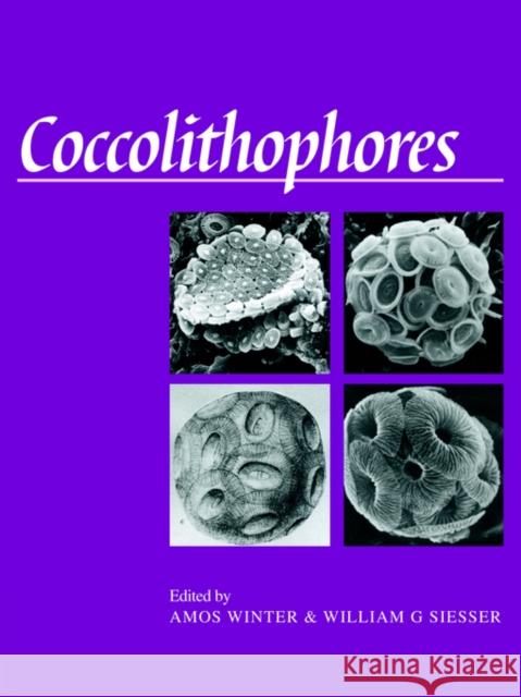 Coccolithophores Amos Winter William G. Siesser 9780521031691 Cambridge University Press
