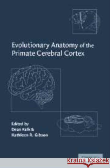 Evolutionary Anatomy of the Primate Cerebral Cortex Dean Falk Kathleen R. Gibson 9780521089951 Cambridge University Press