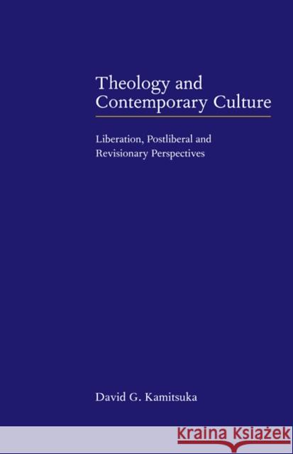 Theology and Contemporary Culture: Liberation, Postliberal and Revisionary Perspectives Kamitsuka, David G. 9780521093606 Cambridge University Press