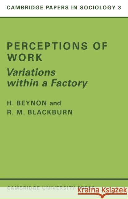 Perceptions of Work: Variations Within a Factory Beynon, H. 9780521097277 Cambridge University Press