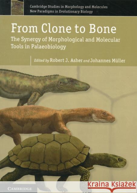 From Clone to Bone: The Synergy of Morphological and Molecular Tools in Palaeobiology Asher, Robert J. 9780521176767