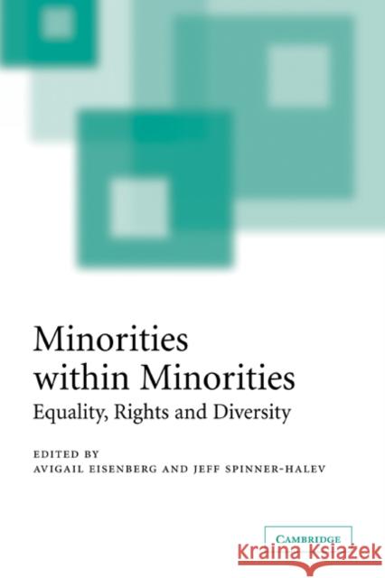 Minorities Within Minorities: Equality, Rights and Diversity Eisenberg, Avigail 9780521603942