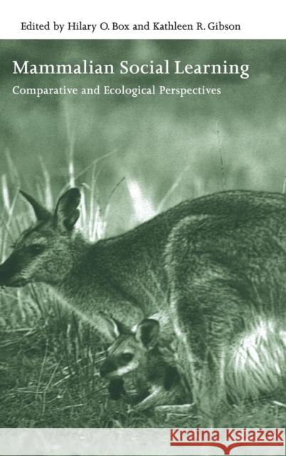 Mammalian Social Learning: Comparative and Ecological Perspectives Box, Hilary O. 9780521632638 Cambridge University Press