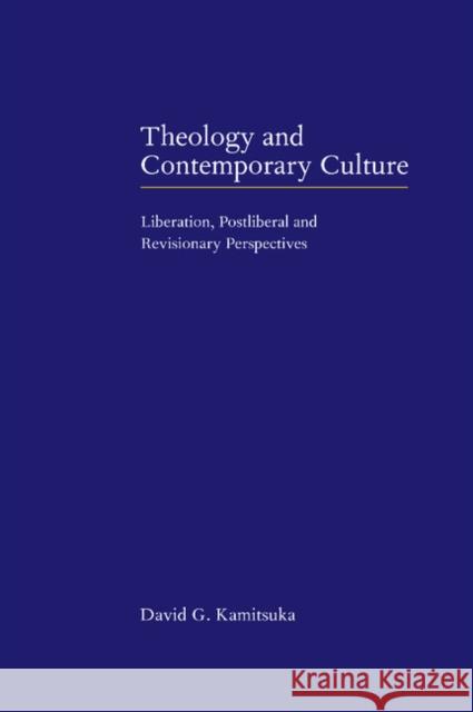 Theology and Contemporary Culture: Liberation, Postliberal and Revisionary Perspectives Kamitsuka, David G. 9780521650052 Cambridge University Press