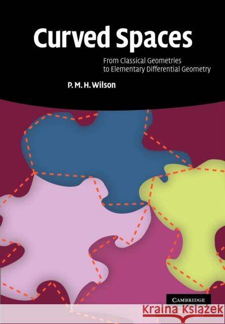 Curved Spaces: From Classical Geometries to Elementary Differential Geometry Wilson, P. M. H. 9780521713900 0