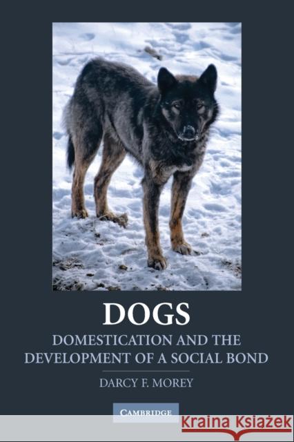 Dogs Morey, Darcy 9780521757430 Cambridge University Press