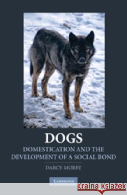 Dogs: Domestication and the Development of a Social Bond Morey, Darcy F. 9780521760065 0