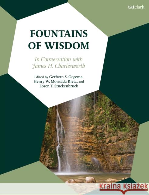 Fountains of Wisdom: In Conversation with James H. Charlesworth Oegema, Gerbern S. 9780567701312 Bloomsbury Publishing PLC