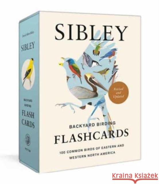 Sibley Backyard Birding Flashcards, Revised and Updated: 100 Common Birds of Eastern and Western North America Sibley, David Allen 9780593578544