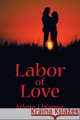 Labor of Love Arlene J. Warner 9780595287086 iUniverse