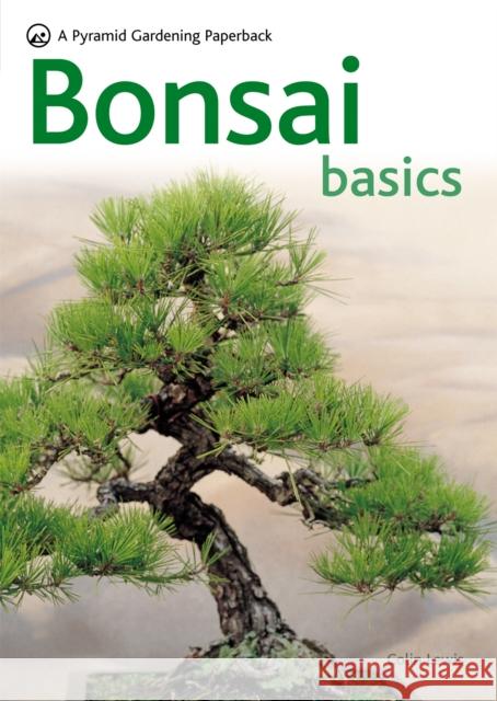 Bonsai Basics Colin Lewis 9780600619109 Octopus Publishing Group