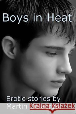 Boys in Heat: Erotic stories by Martin Delacroix Delacroix, Martin 9780615694733 Martin Delacroix Publishing