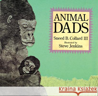 Animal Dads Sneed B., III Collard Steve Jenkins 9780618032990 Houghton Mifflin Company