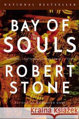 Bay of Souls Robert Stone 9780618446742 Mariner Books