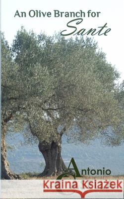 An Olive Branch for Sante Antonio Casella 9780648650249 Yellow Teapot Books