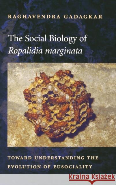 The Social Biology of Ropalidia Marginata: Toward Understanding the Evolution of Eusociality Gadagkar, Raghavendra 9780674006119 Harvard University Press