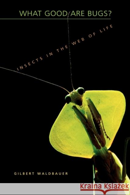 What Good Are Bugs?: Insects in the Web of Life Waldbauer, Gilbert 9780674016323 Harvard University Press