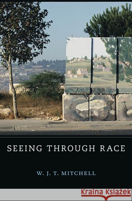 Seeing Through Race W. J. T. Mitchell 9780674059818 Harvard University Press