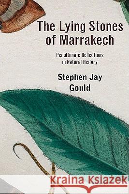 The Lying Stones of Marrakech: Penultimate Reflections in Natural History Stephen Jay Gould 9780674061675