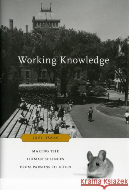 Working Knowledge: Making the Human Sciences from Parsons to Kuhn Isaac, Joel 9780674065741