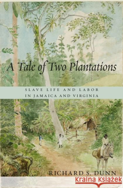 Tale of Two Plantations: Slave Life and Labor in Jamaica and Virginia Dunn, Richard S. 9780674735361 John Wiley & Sons