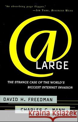 At Large: The Strange Case of the World's Biggest Internet Invasion Charles C. Mann, David H. Freedman 9780684835587