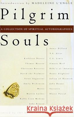 Pilgrim Souls: A Collection of Spiritual Autobiography Mandelker, Amy 9780684843117 Touchstone Books