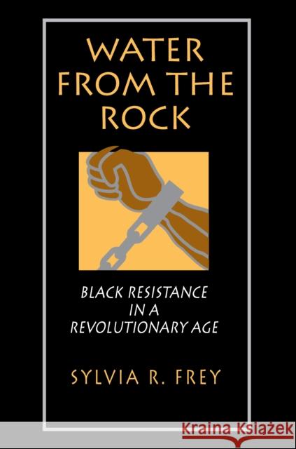 Water from the Rock: Black Resistance in a Revolutionary Age Frey, Sylvia R. 9780691006260 Princeton University Press