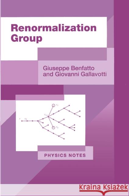 Renormalization Group Giuseppe Benfatto Giovanni Gallavotti 9780691044460 Princeton University Press