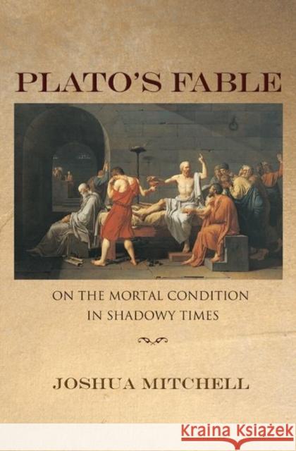 Plato's Fable: On the Mortal Condition in Shadowy Times Mitchell, Joshua 9780691124384 Princeton University Press
