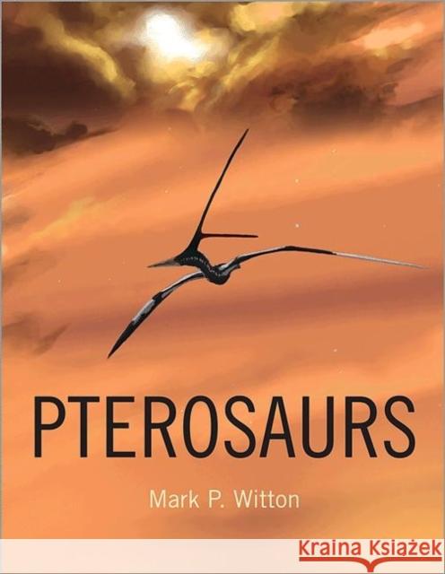 Pterosaurs: Natural History, Evolution, Anatomy Witton, Mark P. 9780691150611 0