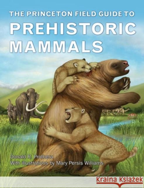 The Princeton Field Guide to Prehistoric Mammals Prothero, Donald R. 9780691156828 Princeton University Press