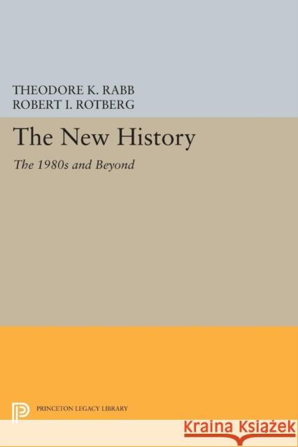 The New History: The 1980s and Beyond Theodore K. Rabb Robert I. Rotberg 9780691613819 Princeton University Press