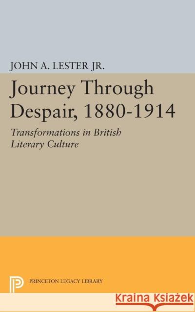 Journey Through Despair, 1880-1914 Lester, John Ashby 9780691622415
