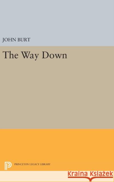 The Way Down John Burt 9780691632230