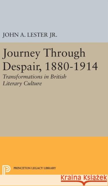 Journey Through Despair, 1880-1914 John Ashby Lester 9780691649191