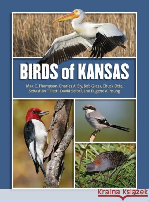 Birds of Kansas Max C. Thompson Charles A. Ely Bob Gress 9780700617821 University Press of Kansas