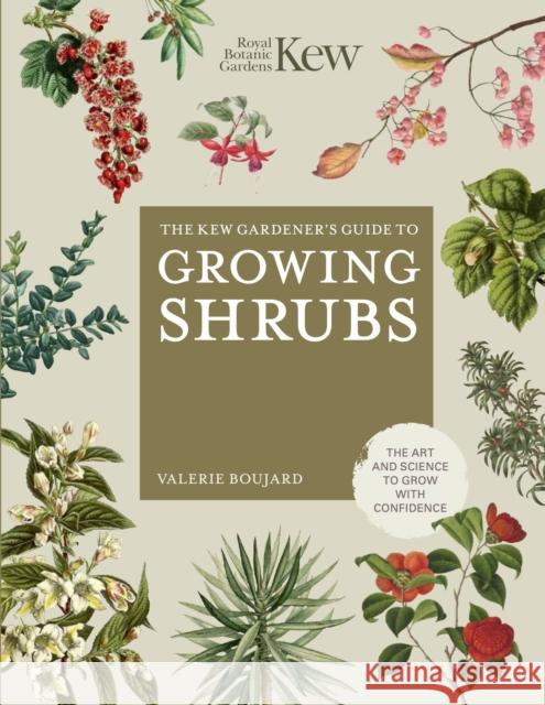 The Kew Gardener's Guide to Growing Shrubs: The Art and Science to Grow with Confidence Kew Royal Botanic Gardens 9780711282414
