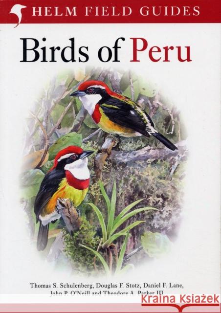 Birds of Peru Douglas F. Stotz John P. O'neill 9780713686739 A & C BLACK PUBLISHERS LTD