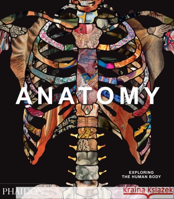 Anatomy: Exploring the Human Body Phaidon Press 9780714879888